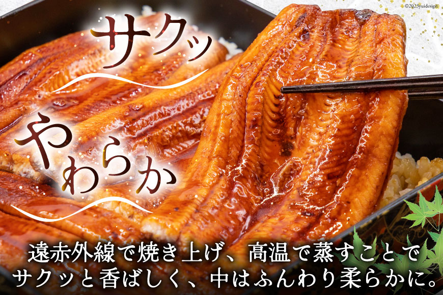 うなぎ 国産 蒲焼 肉厚 145g前後×4 真空パック タレ山椒付き [マルニうなぎ加工 静岡県 吉田町 1033480] 鰻 ウナギ 蒲焼き 化粧箱 冷凍 ◎