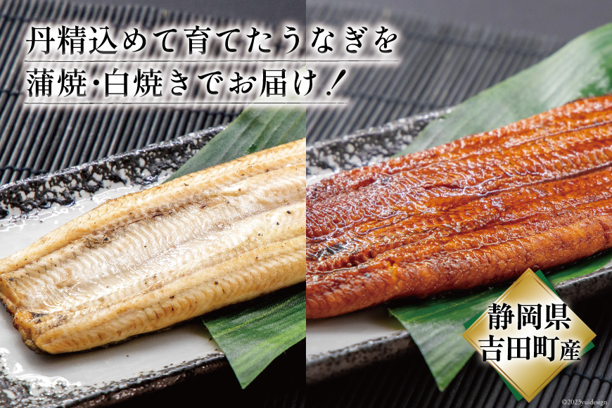うなぎ 国産 静岡 定期便 蒲焼 2尾 & 白焼 2尾 6回 総計24尾 食べ比べセット [大井川うなぎ 静岡県 吉田町 22424562] 静岡県産 鰻 ウナギ ungai 蒲焼き うなぎ蒲焼き 鰻蒲焼 白焼き タレ たれ 山椒 真空パック 冷凍 ◎
