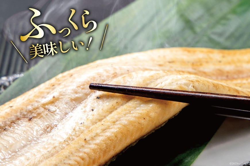 うなぎ 国産 静岡 うなぎ白焼 150g 以上× 2尾 タレ 山椒 付き [大井川うなぎ 静岡県 吉田町 22424463] 鰻 ウナギ 白焼き 白焼 鰻白焼き 真空パック 静岡県産 ◎