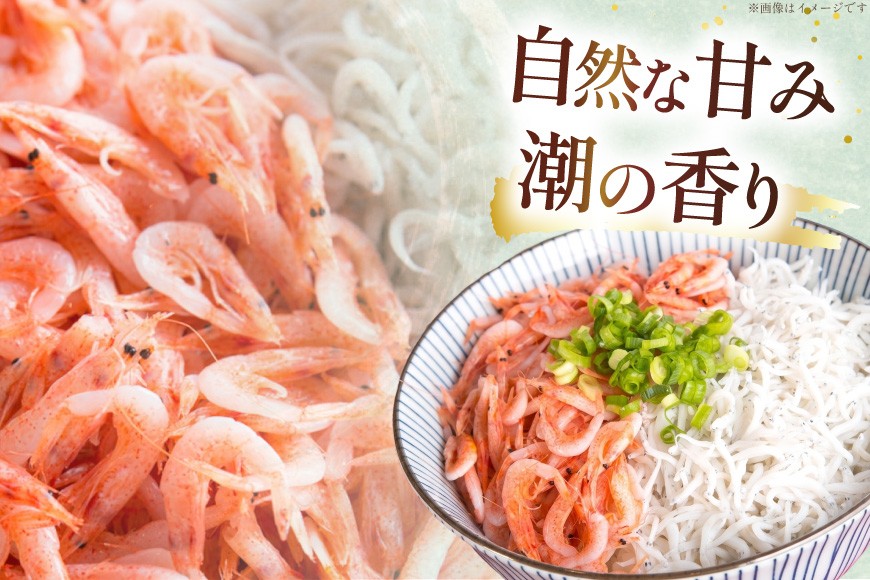 静岡県産 駿河湾 しらす 桜えび 極上品4種豪華セット（釜揚げしらす 釜揚げ桜えび 生しらす 生しらす沖漬け）計950g [丸三水産 静岡県 吉田町 22424771] シラス しらす 釜揚げシラス 桜エビ サクラエビ 桜海老 駿河湾