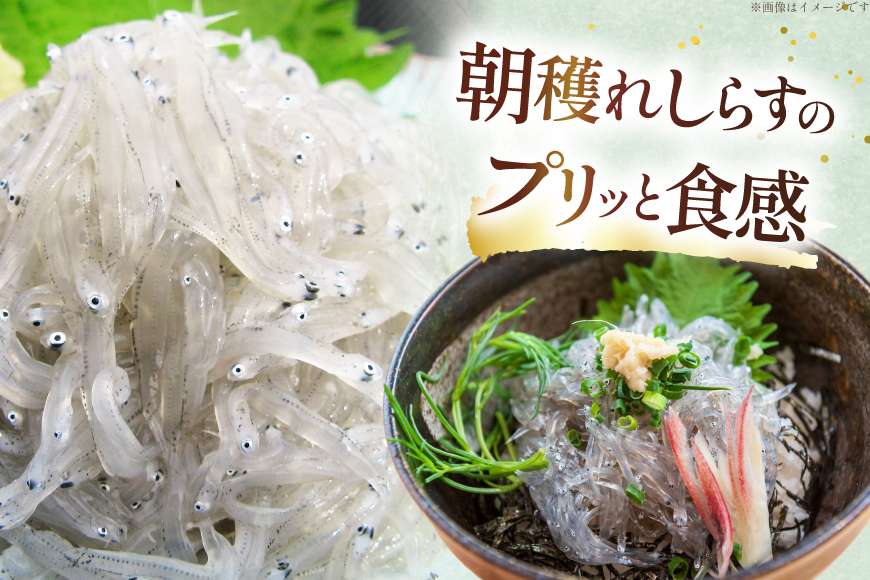 生しらす 160ｇｘ2パック と沖漬け 100g ｘ 2パック 計520g 食べ比べ 小分け セット [丸三水産 静岡県 吉田町 22424697] しらす シラス 冷凍 海鮮 ご飯のお供
