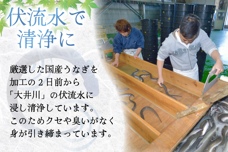 うなぎ 蒲焼き 国産 雌うなぎ 約120g 3尾 計約360g [マルニうなぎ加工 静岡県 吉田町 22424459] 鰻 ウナギ 蒲焼 かば焼き 鰻蒲焼き うなぎ蒲焼 ウナギ蒲焼き 国産うなぎ蒲焼き 冷凍 静岡産 静岡 国産うなぎ 国産鰻 国産ウナギ unagi ◇ ◎