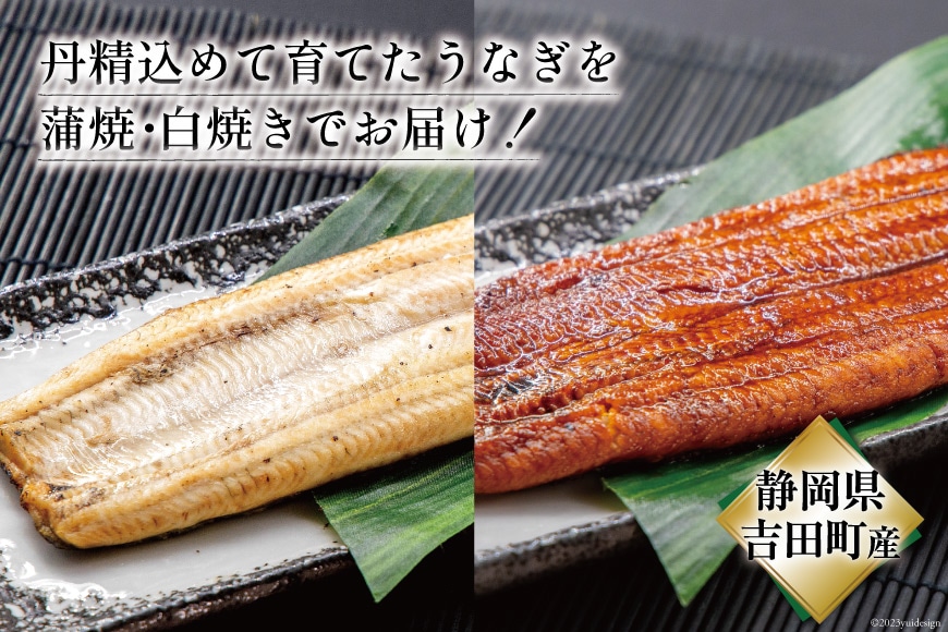 うなぎ 国産 静岡 うなぎ蒲焼 白焼 各130g 以上×2 計 4尾 タレ 山椒 付き [大井川うなぎ 静岡県 吉田町 22424462] 鰻 ウナギ うなぎかば焼き うなぎ蒲焼き 鰻蒲焼 鰻蒲焼き ウナギかば焼き 真空パック 蒲焼 タレ たれ 静岡県産 unagi ◎