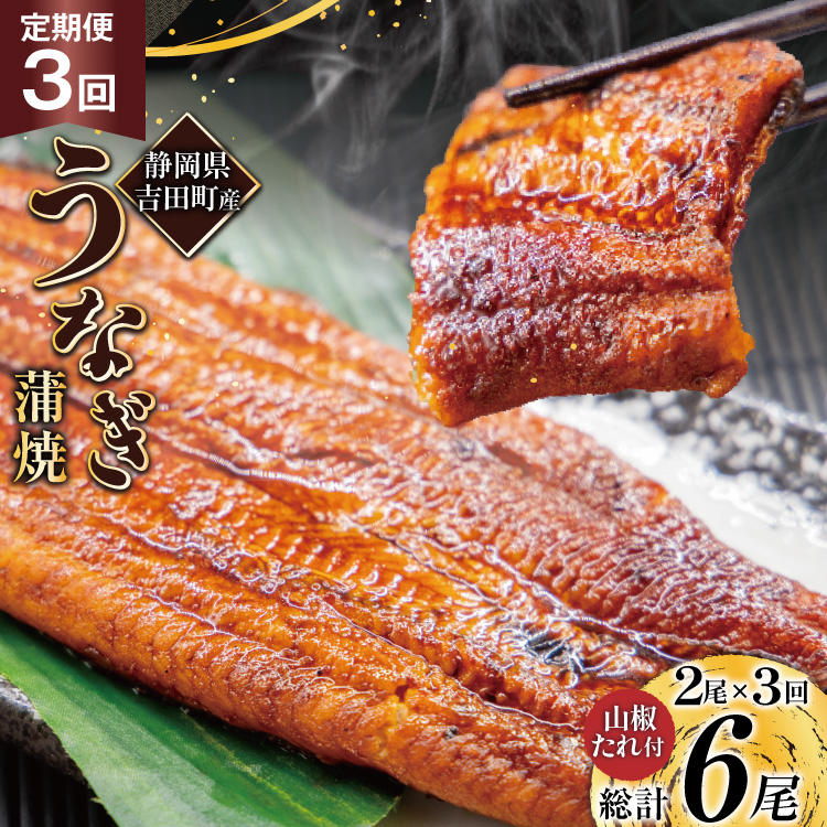 うなぎ 国産 静岡 定期便 蒲焼 150g以上 2尾 3回 総計6尾 [大井川うなぎ 静岡県 吉田町 22424567] 静岡県産 鰻 ウナギ ungai 蒲焼き うなぎ蒲焼き 鰻蒲焼 タレ たれ 山椒 真空パック 冷凍 ◎