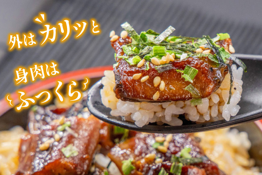 【静岡県吉田町加工】国産うなぎ うなぎ櫃まぶし詰合せ　あとはご飯にのせるだけ、だし汁・薬味付き [フーズ・ユー綱正 静岡県 吉田町 22424054] 鰻 ウナギ ひつまぶし 蒲焼 蒲焼き タレ付き 国産