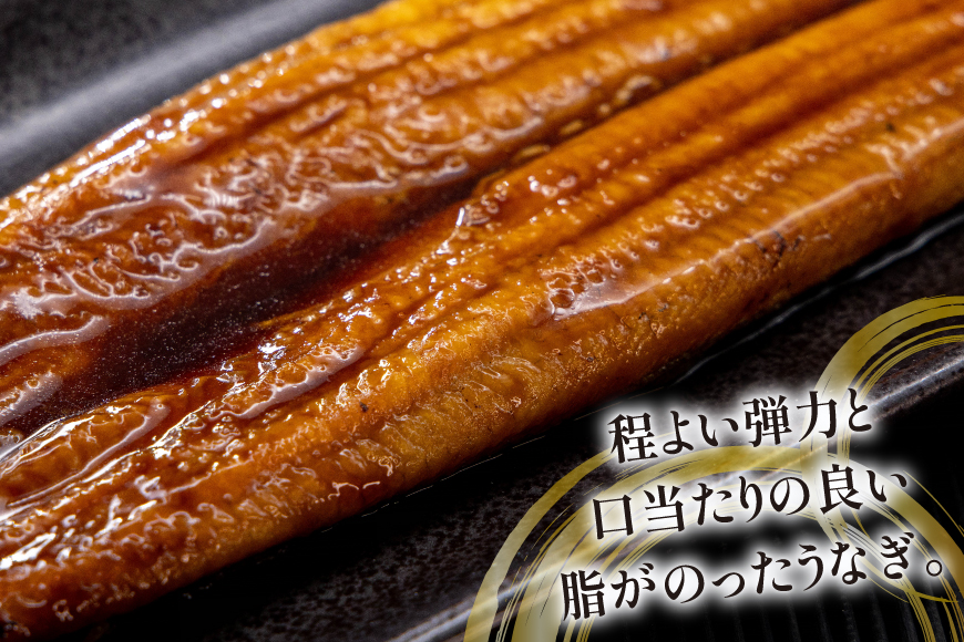 うなぎ 静岡県産 鰻2尾 約160g×2 蒲焼1尾 白焼1尾 [駿河淡水 静岡県 吉田町 22424653] 国産 鰻 ウナギ 蒲焼 蒲焼き かば焼き 白焼き 白焼 真空パック
