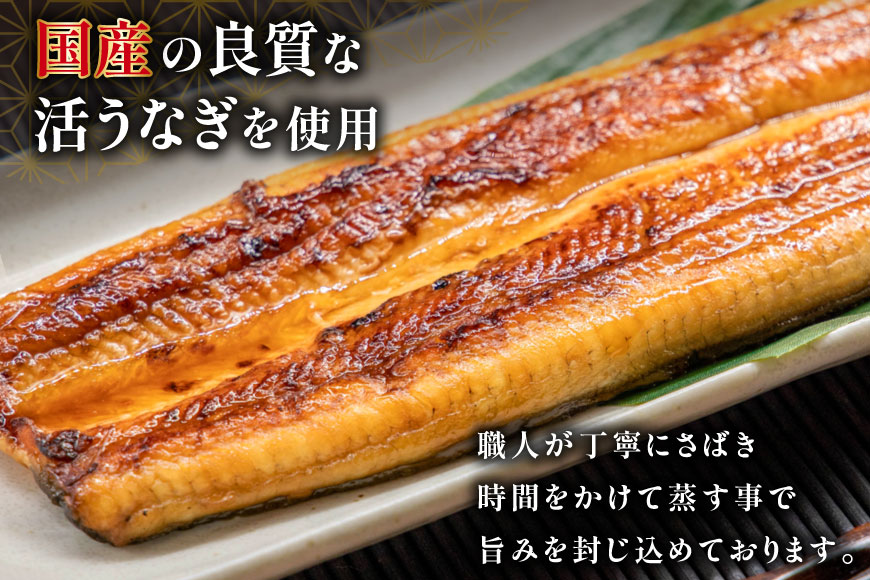 国産うなぎ蒲焼詰合せ4尾[フーズ・ユー綱正 静岡県 吉田町 1293688]