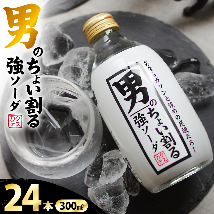 ソーダ 男のちょい割る強ソーダ 300ml × 24本 [翔栄通商 静岡県 吉田町 22424712] 炭酸 炭酸飲料 強炭酸 瓶 そーだ 木村飲料