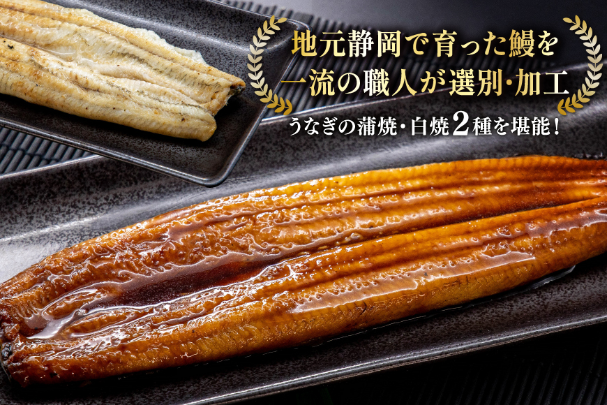 うなぎ 静岡県産 鰻2尾 約160g×2 蒲焼1尾 白焼1尾 [駿河淡水 静岡県 吉田町 22424653] 国産 鰻 ウナギ 蒲焼 蒲焼き かば焼き 白焼き 白焼 真空パック