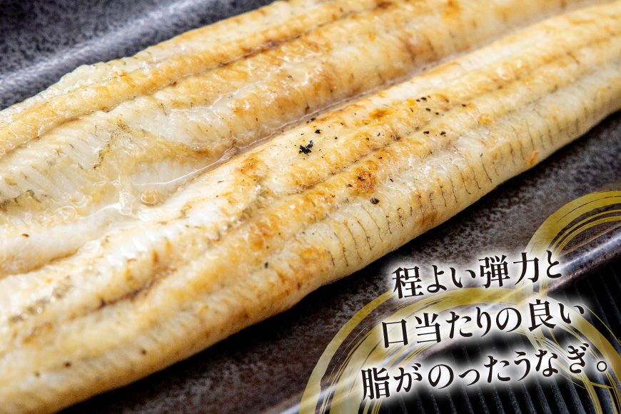 うなぎ 国産 白焼 約160g 1尾 [駿河淡水 静岡県 吉田町 22424769] タレ山椒付き 真空パック 個包装 静岡県産 静岡 鰻 ウナギ 白焼き