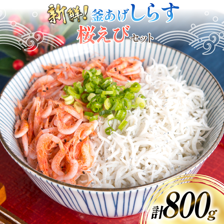 【明治神宮奉献品！】 釜揚げしらす 500g 釜揚げ桜えび 300g [丸三水産 静岡県 吉田町 22424486] シラス しらす 釜揚げシラス 桜エビ サクラエビ 桜海老 駿河湾