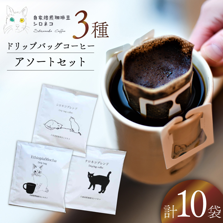 ドリップバッグ コーヒー アソートセット 3種 10個セット（10杯分）[自家焙煎珈琲豆シロネコ 静岡県 吉田町 22424645] ドリップバッグ コーヒー 珈琲 coffee コーヒー粉 ドリップ 粉 ドリップパック ブレンド エチオピア アソート セット