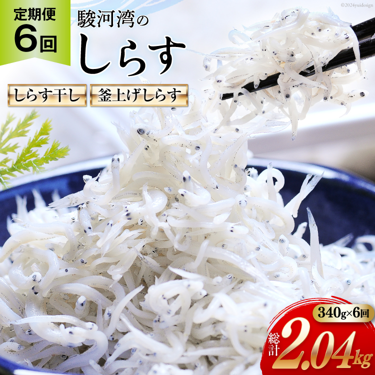 6回 定期便 駿河湾産 しらす干し 100g×1 釜上げしらす 120g×2 計3パック [マルあ水産 静岡県 吉田町 22424641] 魚 海鮮 しらす 白子 シラス 天日 じゃこ 小分け おじゃこ しらす干し