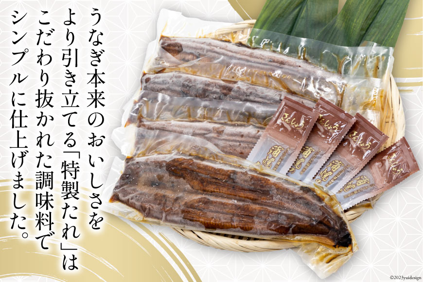 うなぎ 国産 静岡 うなぎ蒲焼 4尾 セット 140g×4 計約560g [静岡鰻販売 静岡県 吉田町 22424176] 鰻 ウナギ 真空パック 蒲焼 タレ たれ 山椒 惣菜 おかず 静岡県産 冷凍 ◎