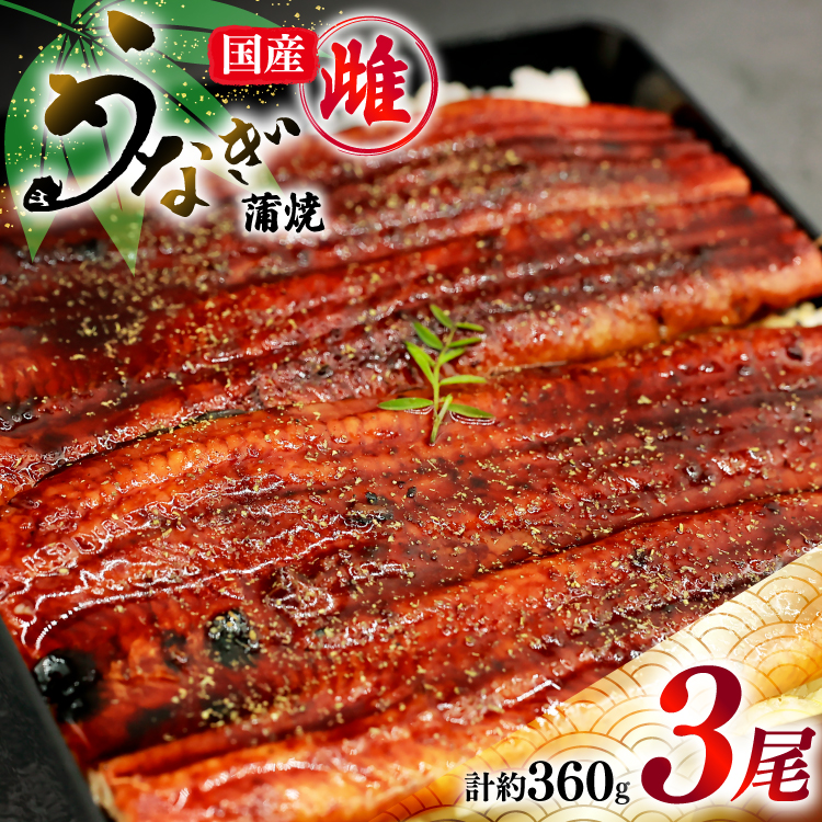 うなぎ 蒲焼き 国産 雌うなぎ 約120g 3尾 計約360g [マルニうなぎ加工 静岡県 吉田町 22424459] 鰻 ウナギ 蒲焼 かば焼き 鰻蒲焼き うなぎ蒲焼 ウナギ蒲焼き 国産うなぎ蒲焼き 冷凍 静岡産 静岡 国産うなぎ 国産鰻 国産ウナギ unagi ◇ ◎