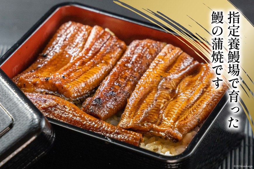 静岡県産 うなぎ蒲焼 パックカット 80g ×2パック [静岡鰻販売 静岡県 吉田町 22424148] レンジ うなぎ 鰻 レンチン ウナギ 蒲焼き 蒲焼 タレ付き 冷凍 ◎
