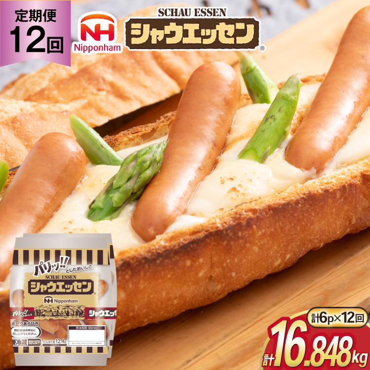 定期便 シャウエッセン 117g(約6本入) 2束 6袋 計1.404kg 12回 総計16.848kg [ 日本ハム マーケティング 静岡県 吉田町 22424428] 冷蔵 小分け ウインナー ウィンナー ソーセージ 粗びき 粗挽き あらびき 業務用 惣菜 弁当 お弁当 おかず おつまみ バーベキュー