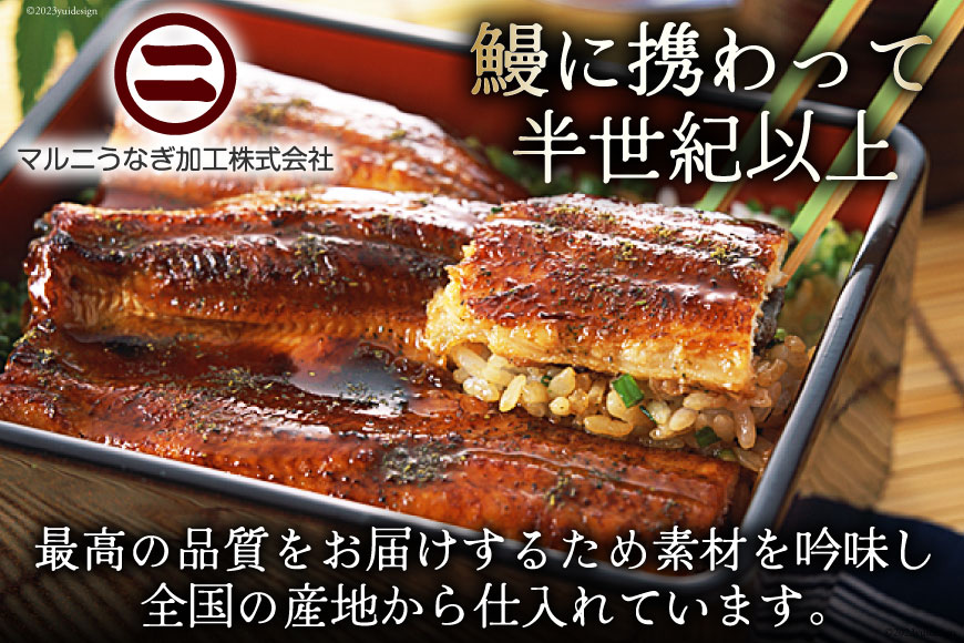 うなぎ 国産 蒲焼 肉厚 145g前後×2 真空パック タレ山椒付き [マルニうなぎ加工 静岡県 吉田町 22424421] 鰻 ウナギ 蒲焼き 化粧箱 冷凍 ◎