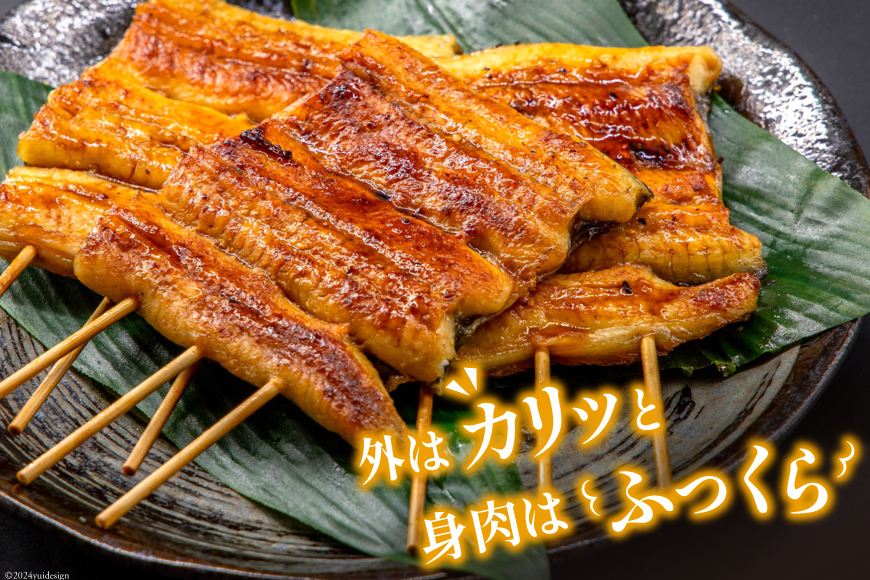 定期便 うなぎ 国産 蒲焼 90g 6串 6回 総計3.24kg タレ 山椒 付き【綱正】 [フーズ・ユー 静岡県 吉田町 22424399] ウナギ 鰻 うなぎ蒲焼 うなぎ蒲焼き 鰻蒲焼 ウナギかば焼き 冷凍 unagi ◎