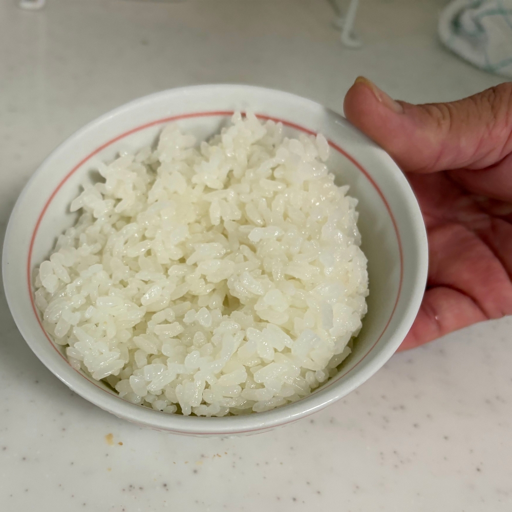 【先行予約】新米 令和8年産 あいちのこころ 3kg ※2026年10月～発送
