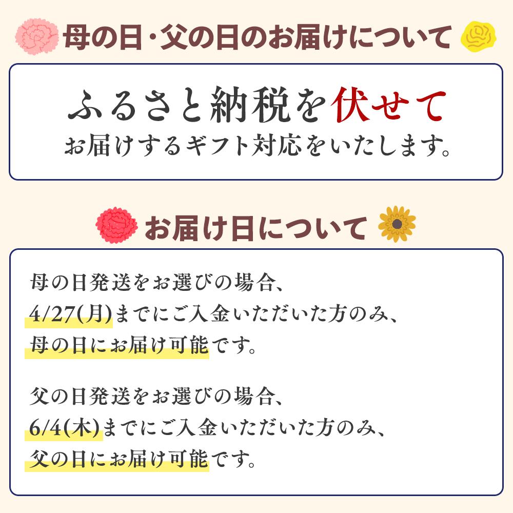 楽器シリーズのクラフトビール（6本セット）| 飲料 アルコール ビール クラフトビール 乾杯 晩酌 地ビール IPA ペールエール ラガー ブルワリー 自家醸造 ボトルビール 瓶ビール  飲み比べ お取り寄せ ギフト贈り物 