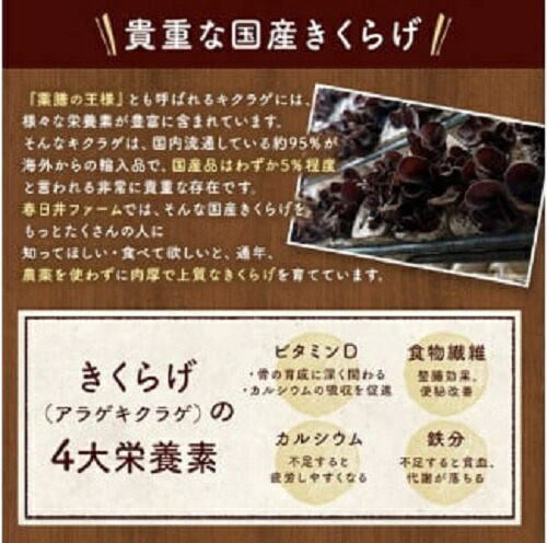 春日井産　乾燥きくらげ2種セット10袋（ホール・スライス）
