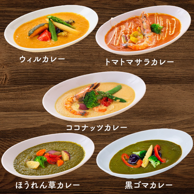 【ウィルカレー】いろどり5種カレー　20個入 ※沖縄・離島への配送不可