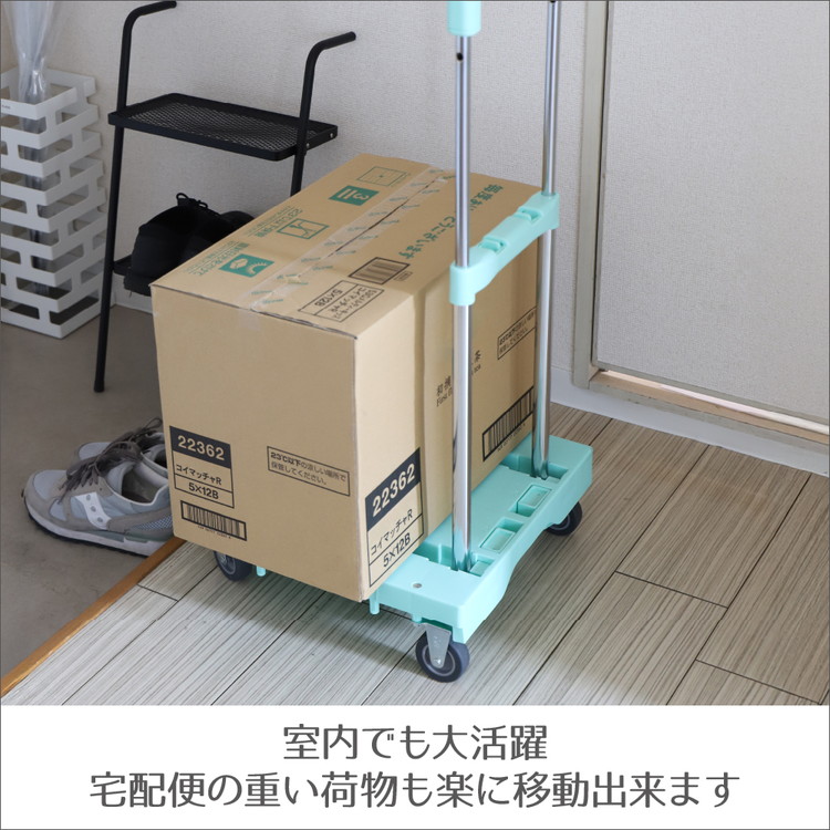 ハンドルが伸縮する台車「フルーリーCarry」