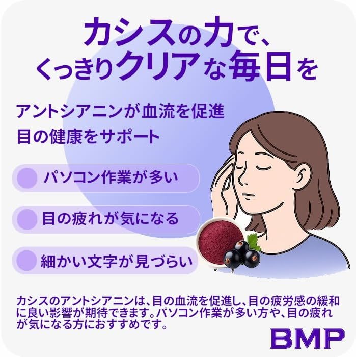 BMP カシスパウダー 2kg（100g×20袋）（カシス濃縮果汁粉末）