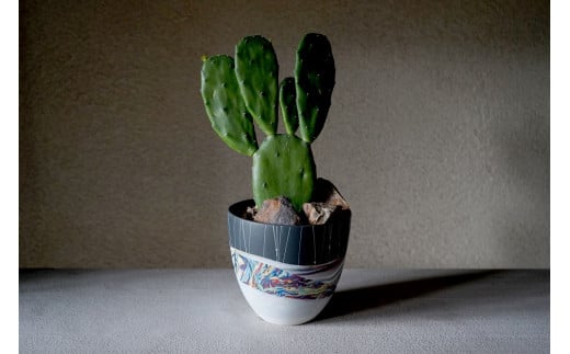 多治見市×春日井市コラボ 【美濃焼】 陶芸家「北川和喜」 marble 丸深鉢 L × 【日本有数のサボテン産地】 春日井市の名店 後藤サボテン