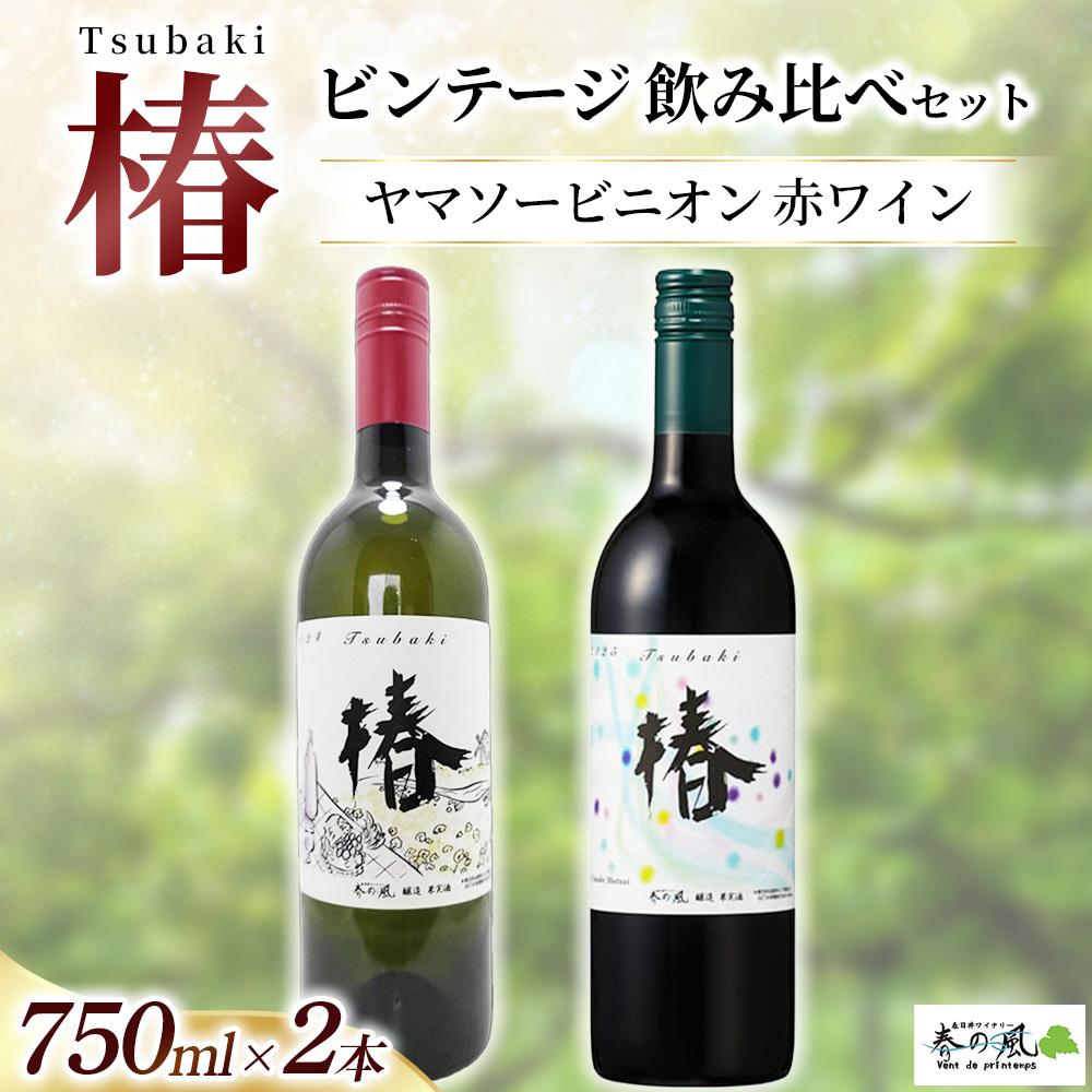 ヤマソービニオン 赤ワイン（椿）【ビンテージ】飲み比べ750ml×2本セット