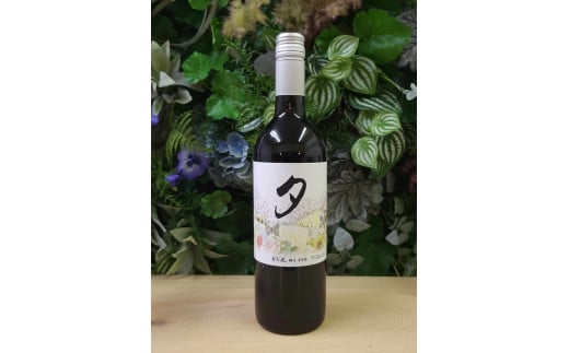 春日井ワイナリー 春の風 (夕)メルロ 赤ワイン 750ml | 赤 ワイン 日本ワイン 国産ワイン メルロー 国産 葡萄100%ワイン ぶどう100% 渋味 酸味 ミディアムライト フルーツ 香り 春日井 ワイナリー ご当地 アルコール ギフト 贈り物 Japanese Wine 愛知県 春日井市
