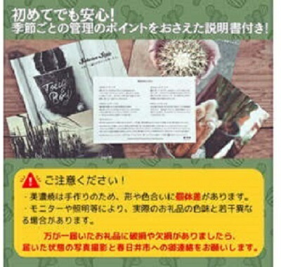 多治見市×春日井市コラボ 【美濃焼】 陶芸家「北川和喜」 重色目 深鉢S × 【日本有数のサボテン産地】 春日井市の名店 後藤サボテン 