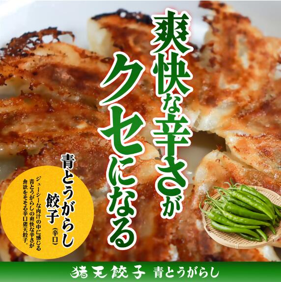 春日井の中華料理店四川監修タレなし生餃子「猪天餃子」