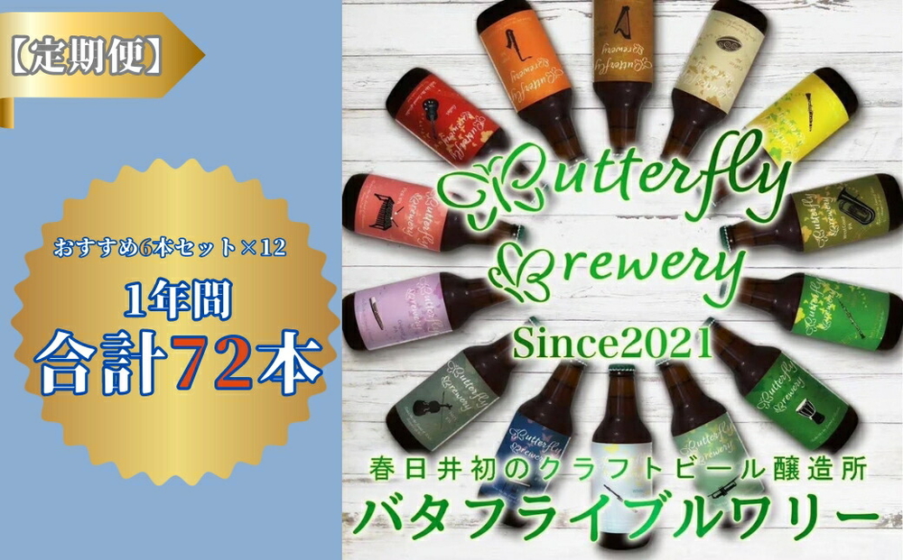 楽器シリーズのクラフトビールが毎月１回6本1年間届きます。（計12回） | 飲料 アルコール ビール クラフトビール 乾杯 晩酌 地ビール IPA ペールエール ラガー ブルワリー 自家醸造 ボトルビール 瓶ビール 飲み比べ 定期便 お取り寄せ ギフト 贈り物