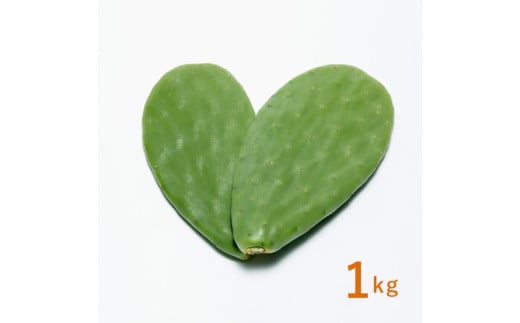 あなたのカメに、自然のごちそうを。食べるサボテン「かめはめ葉」（1kg）