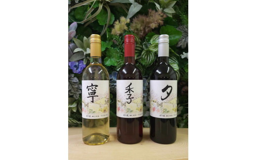 春日井ワイナリー 春の風 赤・白・ロゼ 3本セットワイン 各750ml |  ワイン 赤 白 ロゼ セット 日本ワイン 国産ワイン 国産 飲み比べ 葡萄100%ワイン ぶどう100% 渋味 酸味 甘口 食事 春日井 ワイナリー ご当地 アルコール ギフト 贈り物 Japanese Wine 愛知県 春日井市