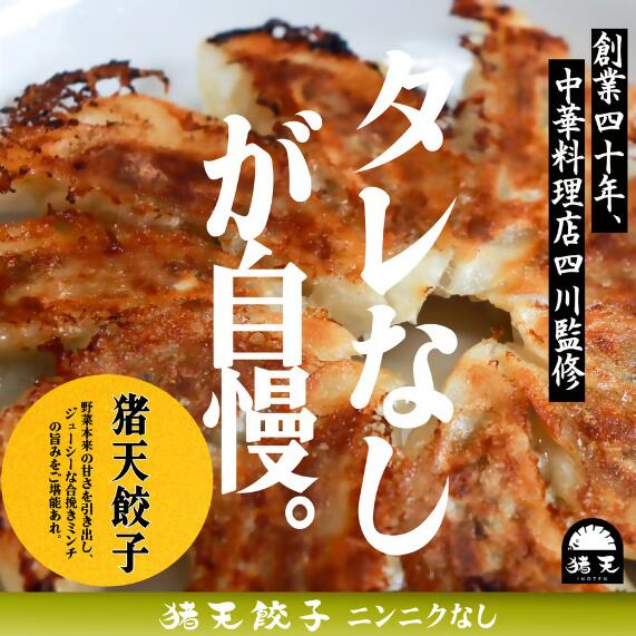 【12ヶ月定期便】春日井の中華料理店四川監修タレなし生餃子「猪天餃子」 12ヶ月コース