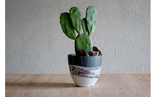 多治見市×春日井市コラボ 【美濃焼】 陶芸家「北川和喜」 marble 丸深鉢 L × 【日本有数のサボテン産地】 春日井市の名店 後藤サボテン