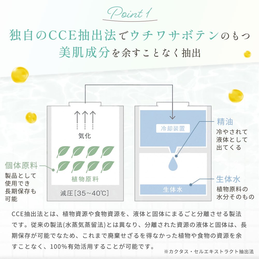フィエナ カークビボーセラム 27ml
