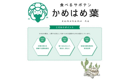 あなたのカメに、自然のごちそうを。食べるサボテン「かめはめ葉」（3kg）