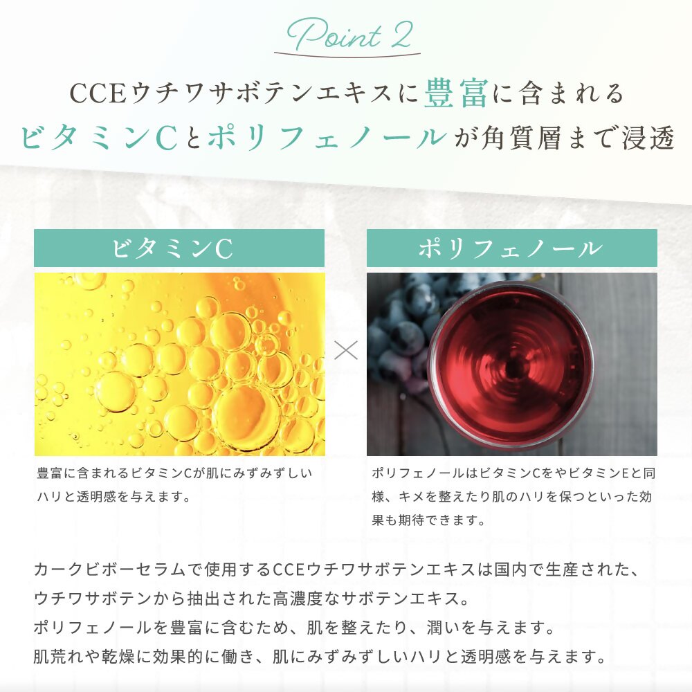 フィエナ カークビボーセラム 27ml