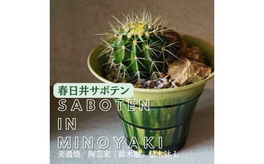 多治見市×春日井市コラボ 【美濃焼】 陶芸家「鈴木徹」 植木鉢 L × 【日本有数のサボテン産地】  春日井市の名店 後藤サボテン 