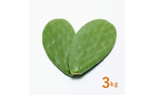 あなたのカメに、自然のごちそうを。食べるサボテン「かめはめ葉」（3kg）