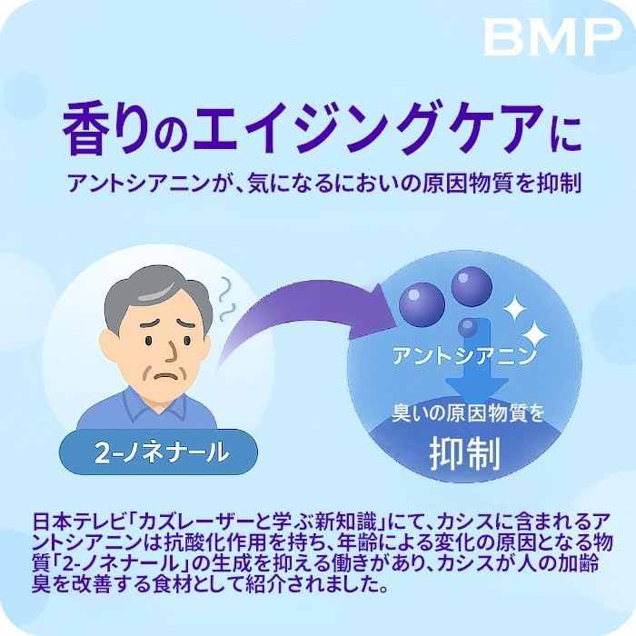 BMP カシスパウダー 500g（100g×5袋）（カシス濃縮果汁粉末）