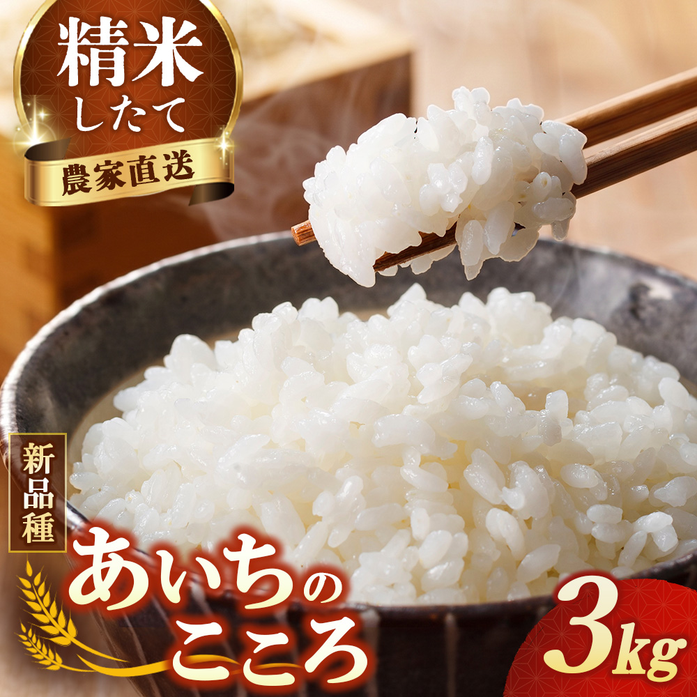 【先行予約】新米 令和8年産 あいちのこころ 3kg ※2026年10月～発送