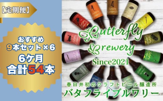 楽器シリーズのクラフトビールが毎月１回9本半年間届きます。（計６回） | 飲料 アルコール ビール クラフトビール 乾杯 晩酌 地ビール IPA ペールエール ラガー ブルワリー 自家醸造 ボトルビール 瓶ビール 飲み比べ 定期便 お取り寄せ ギフト 贈り物