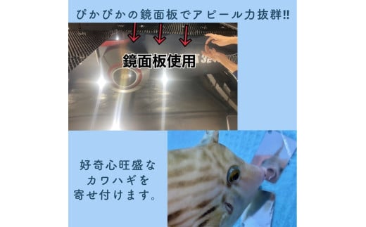 カワハギ集寄板 「カワハギさん寄っといで」 2枚入り10セット | 釣り 釣り具 釣具 フィッシング 海釣り タックル 仕掛け 集魚 趣味 レジャー