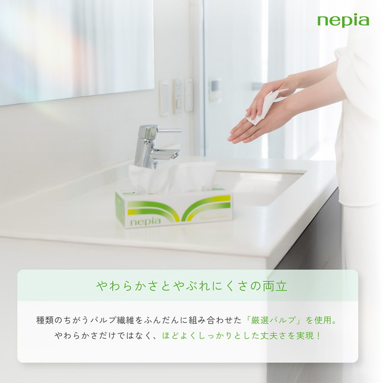 ネピアティシュ５箱×12パック | 日用品 消耗品 必需品 大容量 ティッシュ ボックスティッシュ 箱ティッシュ ストック 花粉症 花粉 防災 備蓄 まとめ買い 全国 発送 一人暮らし nepia ネピア プレミアム