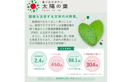 食べるサボテン 太陽の葉 フレッシュリーフ食用サボテン（１kg）